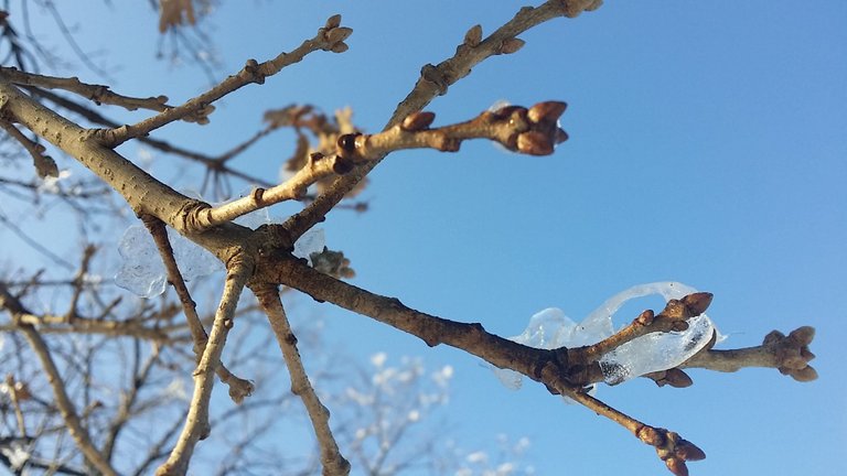 20220115_144931.jpg