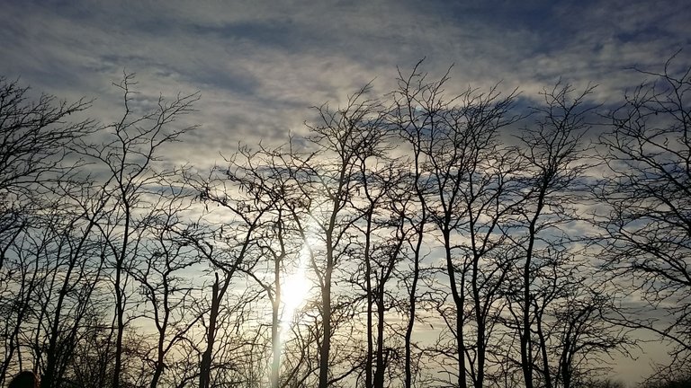20220115_162700.jpg