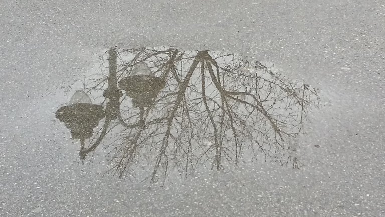 20230118_133621.jpg