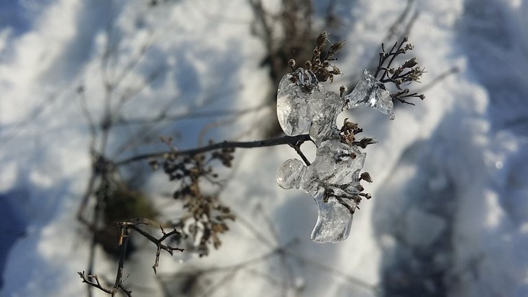 20220115_134757.jpg