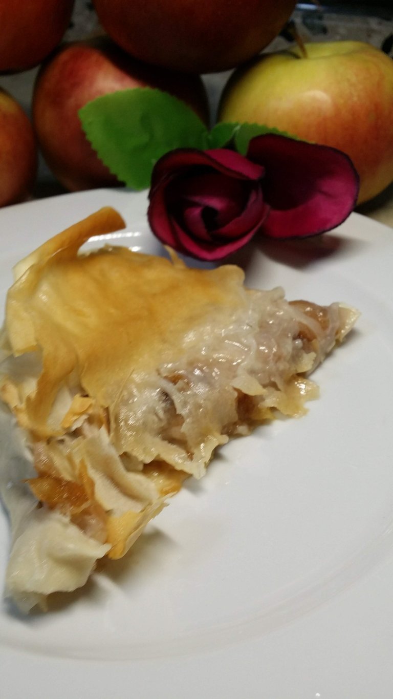 20190131_184732.jpg