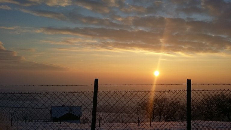 20220115_165948.jpg
