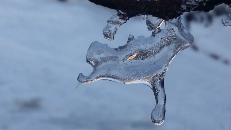 20220115_143917.jpg