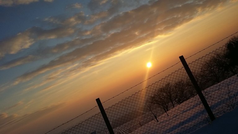 20220115_165954.jpg