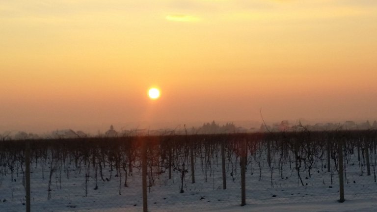 20220115_170310.jpg