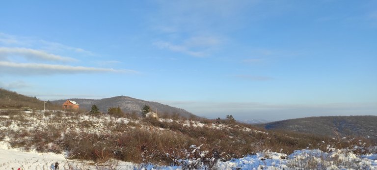 IMG_20220115_151353.jpg