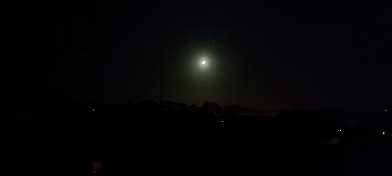 IMG_20221101_225435.jpg