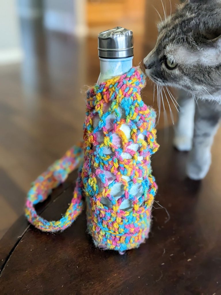 bottle-holster-cat.jpg