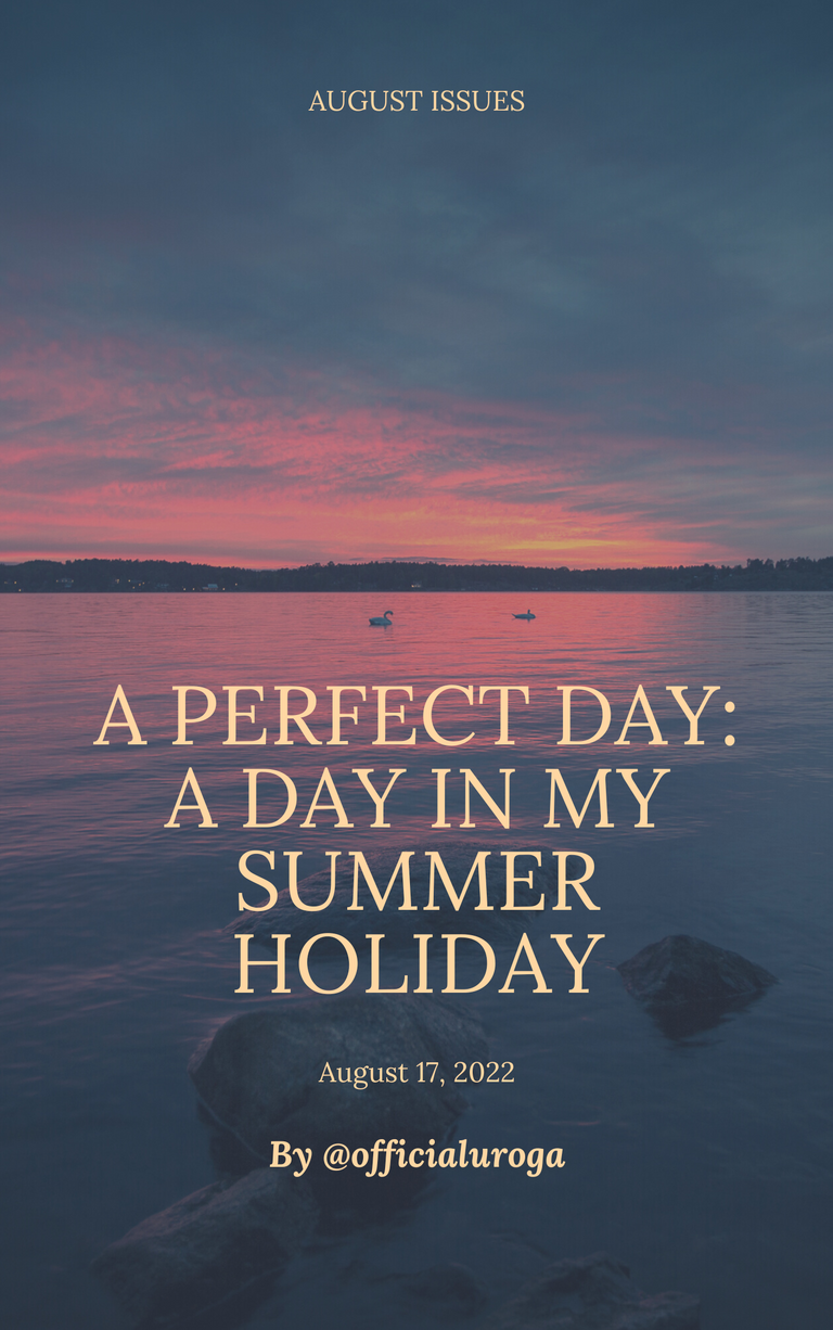 A perfect day (cover).png