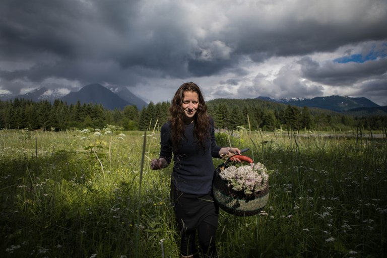 Yarrow Harvest ME 2.jpg