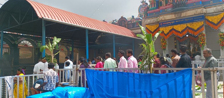 IMG_20250726_141259_423.jpg
