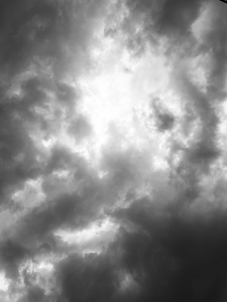 IMG_4293.jpeg