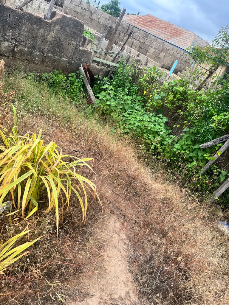 IMG_9392.jpeg