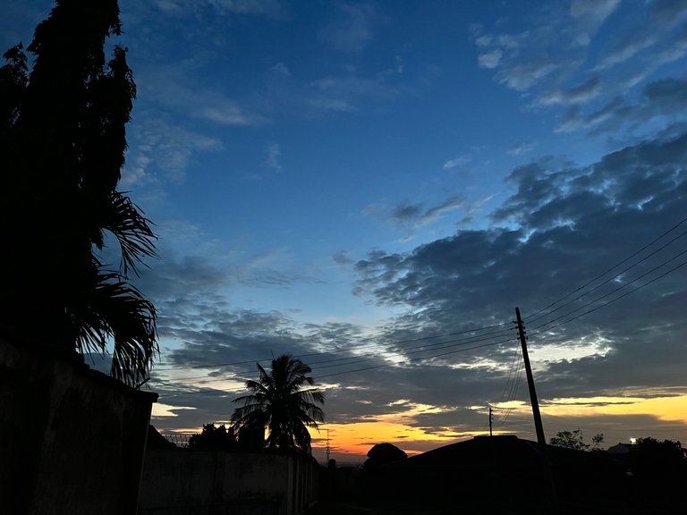 IMG_7840.jpeg