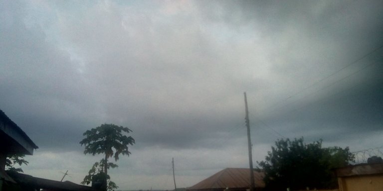 IMG_20210905_184835.jpg