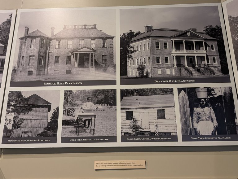PXL_20250610_194137470.jpg