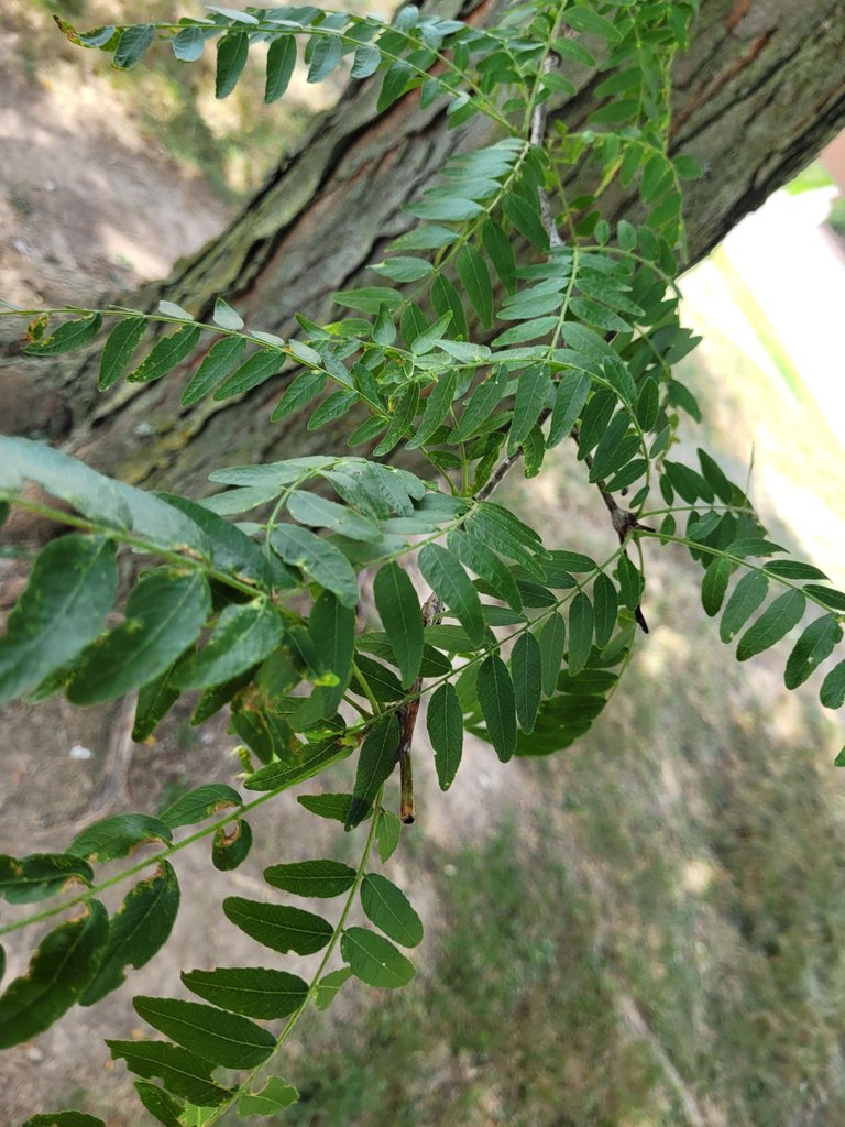 20220816_132125.jpg