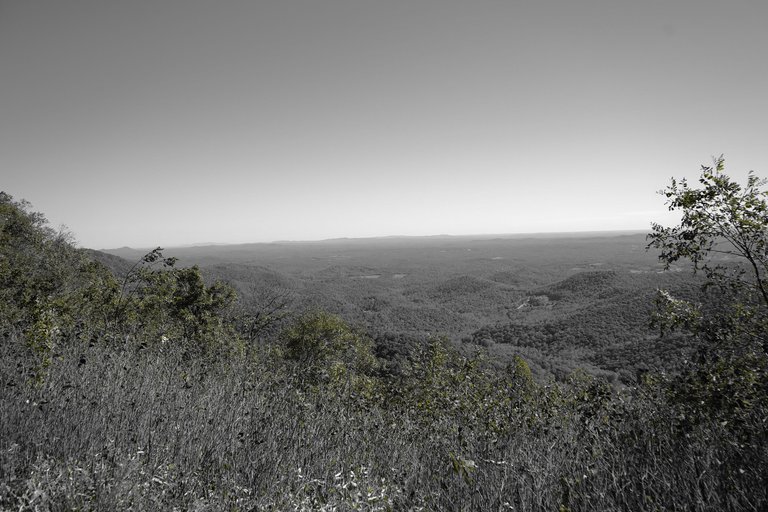 BWA7_00902.JPG