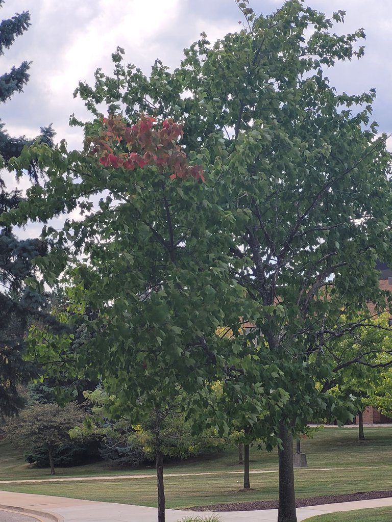 20220816_132426.jpg