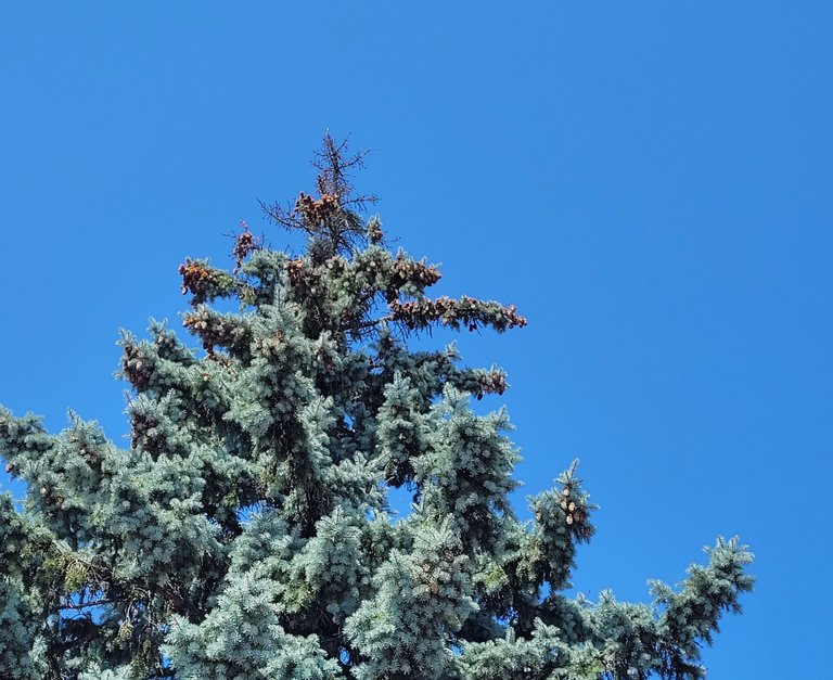 20220816_124835.jpg
