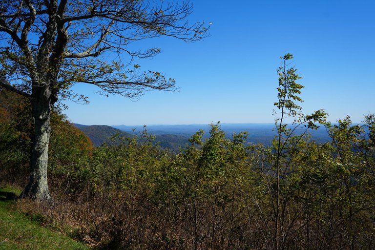 A7_00901.JPG