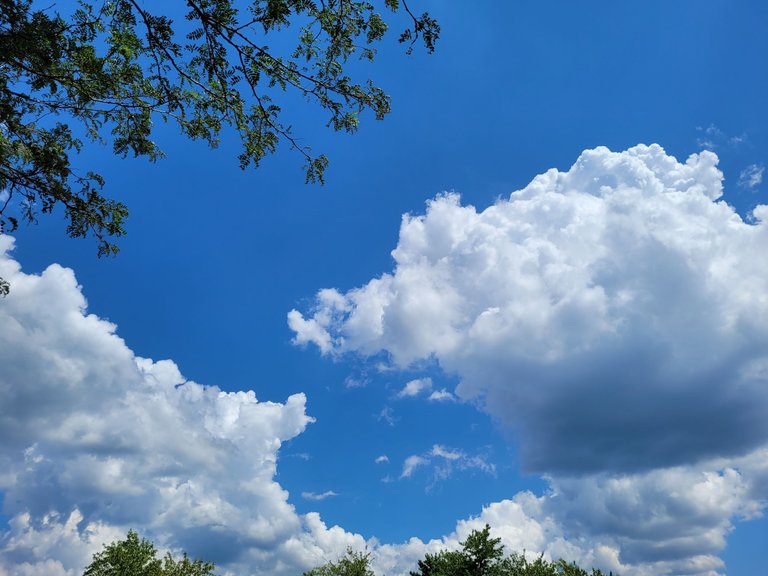 20220816_132351.jpg