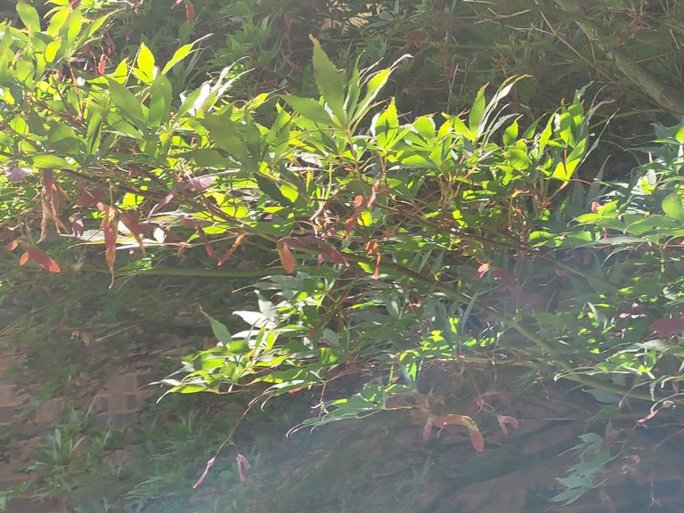 20220816_125608.jpg