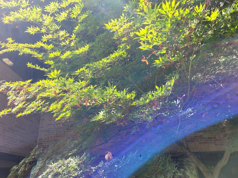 20220816_125613.jpg