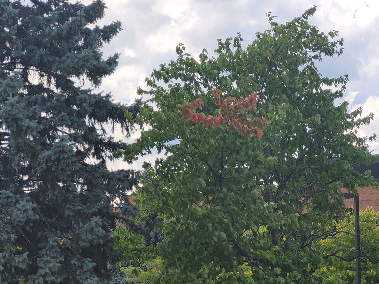 20220816_132415.jpg