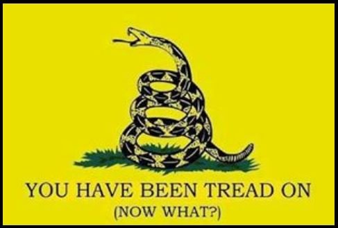 Youve been tread on.JPG