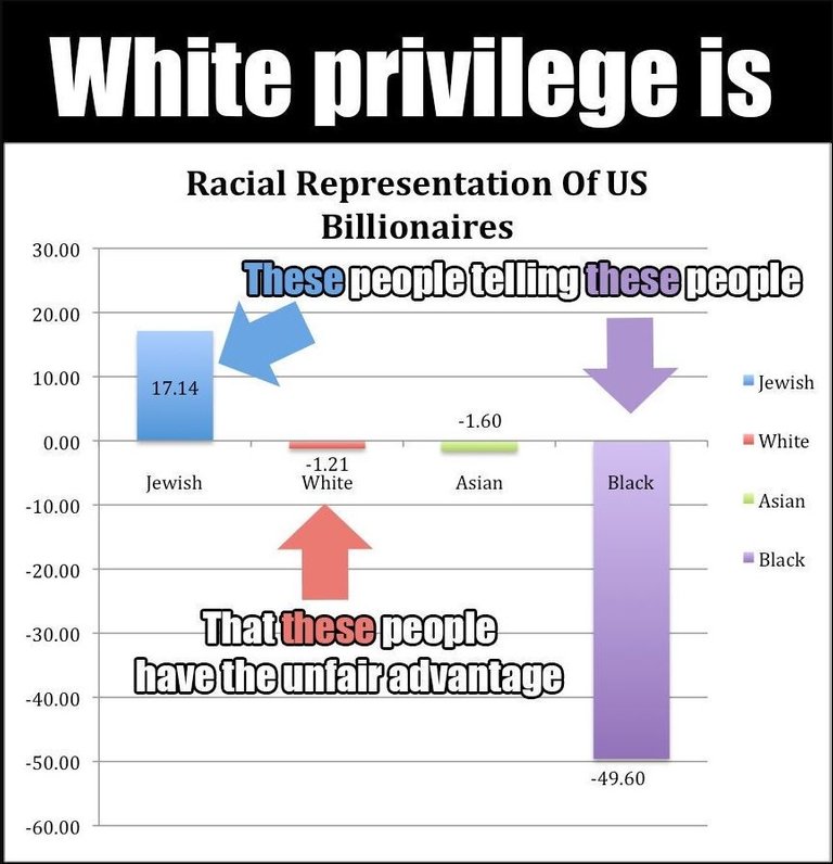 white privilege Liars.JPG