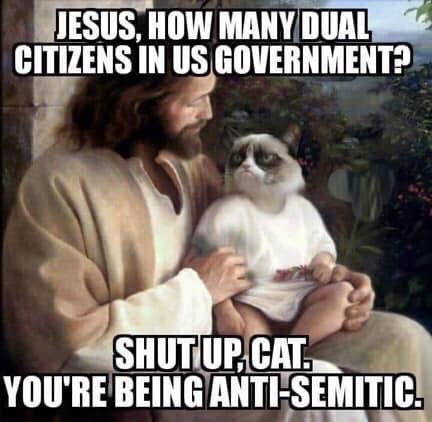 Antisemite cat.jpg