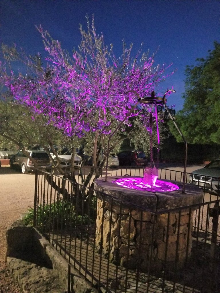20180420_210517.jpg
