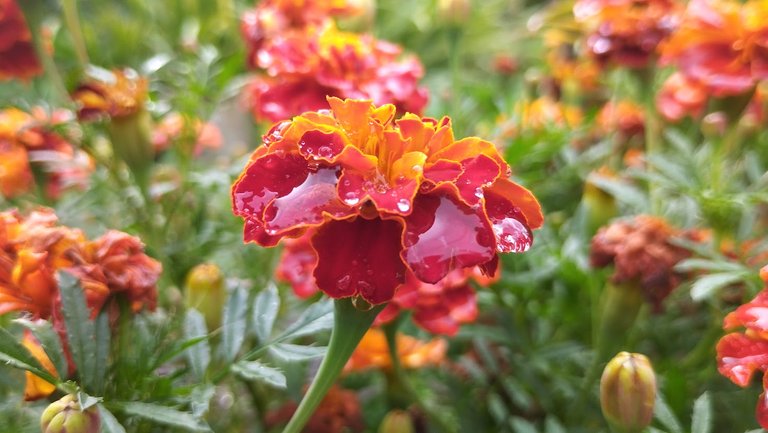 IMG_20230920_103446.jpg