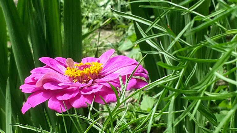 20200803_125956.jpg