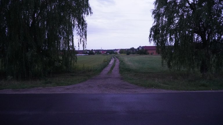DSC09434.JPG