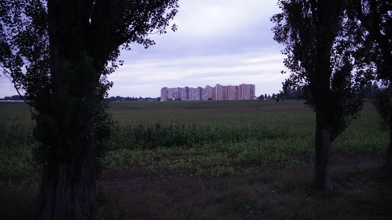 DSC09435.JPG