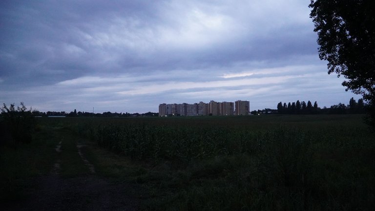 DSC09436.JPG