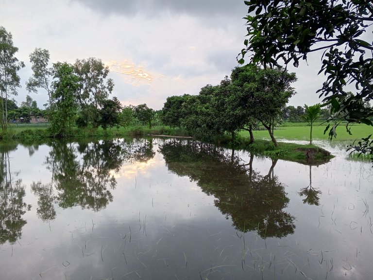 sohanur-rahman.jpg