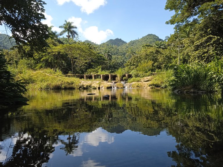 cumanauta.jpg