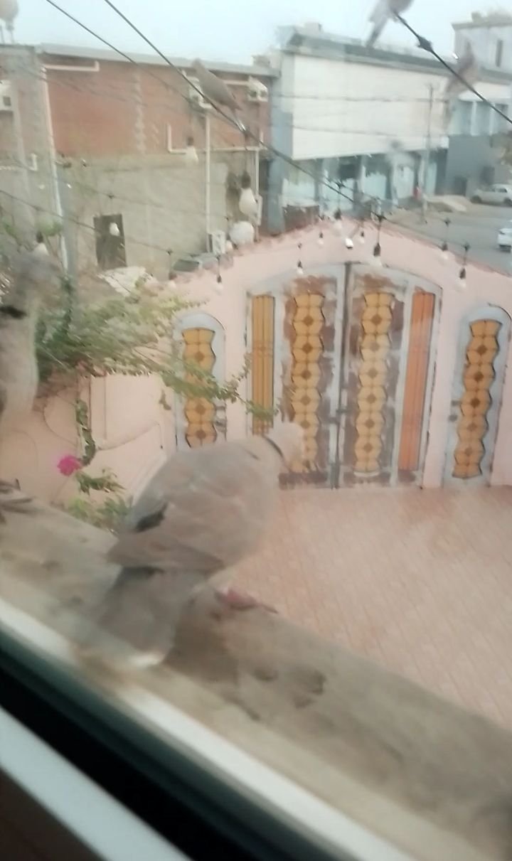Screenshot_20250809-042228.jpg