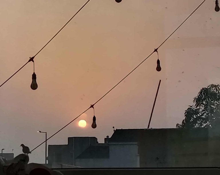 received_2166299343850791.jpeg