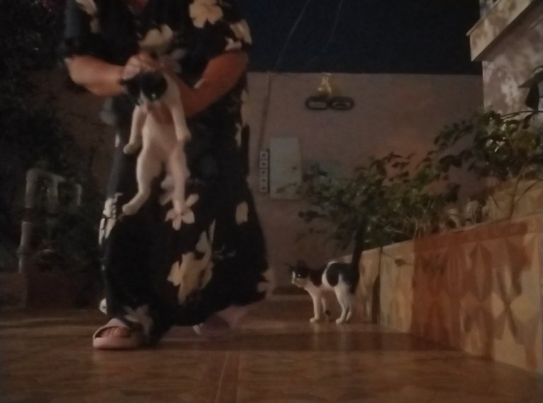 Screenshot_20230218_171616_com.huawei.himovie.overseas_edit_1233613045290089.jpg