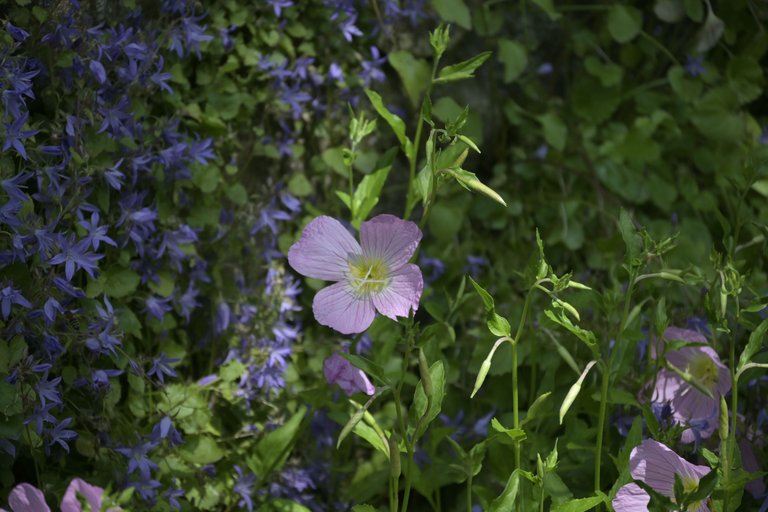_DSC8046.JPG