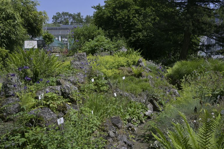 _DSC8050.JPG