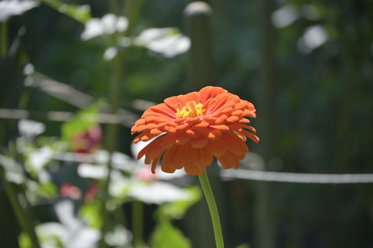 _DSC8843.JPG