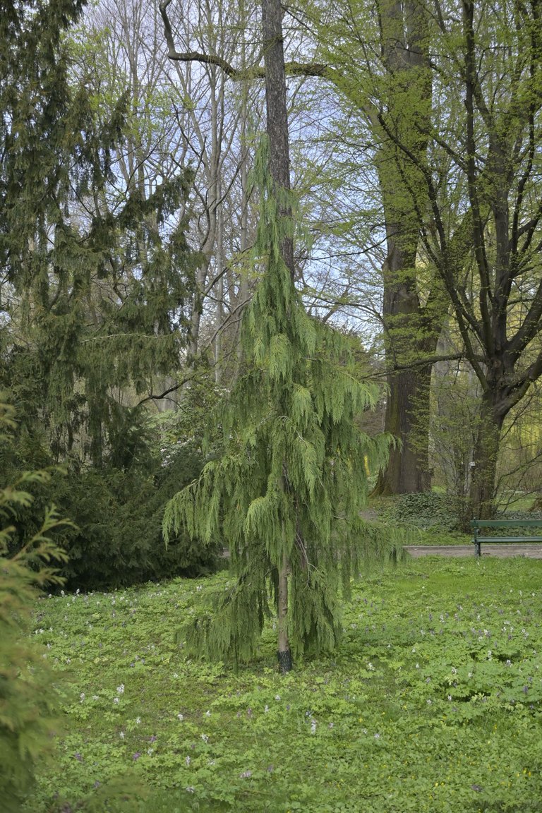 _DSC6563.JPG