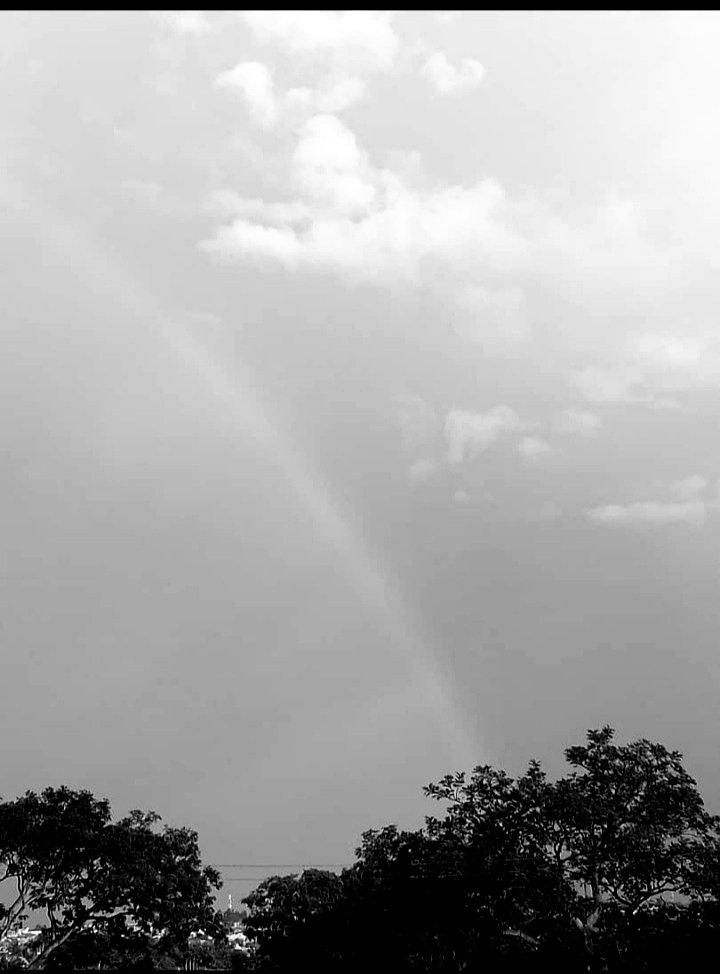 20250724_142227.jpg