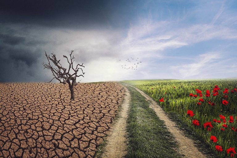 pxclimateaction-4684217_1280.jpg