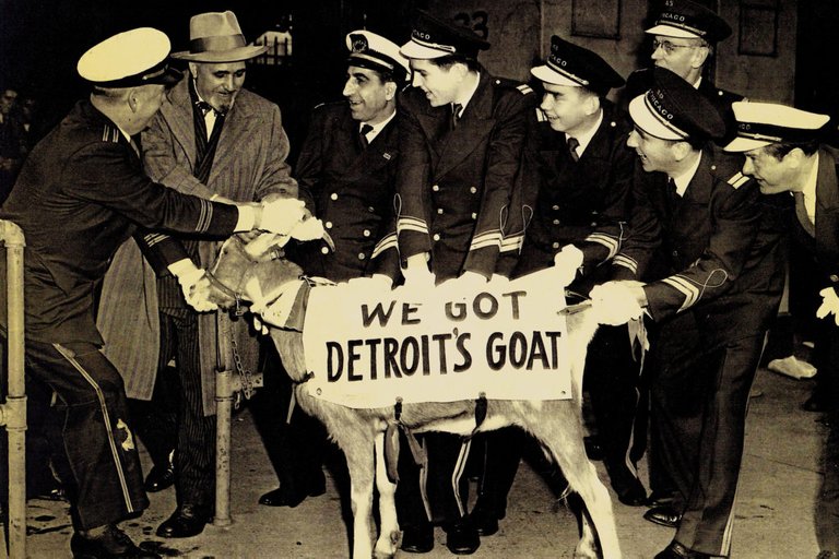 detroit-goat-1024x682.jpg